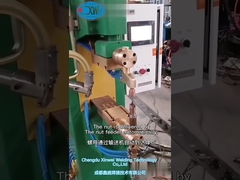 L'alimentatore di dadi per saldatrice a punti stazionaria